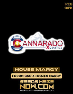Cannarado Genetics - House Margy {REG} [10pk]Cannarado House Margy