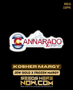 Kosher Margy (Regular) - Cannarado Genetics