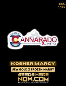 Cannarado Genetics - Kosher Margy {REG} [10pk]Cannarado Kosher Margy