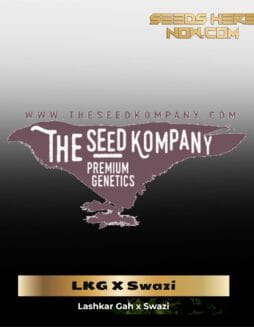 LKG X Swazi (Regular) (space) The Seed Kompany