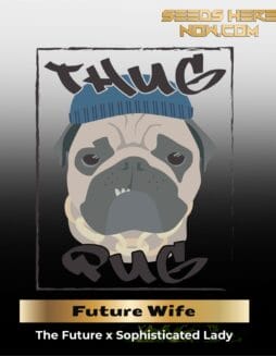 Future Wife (Regular) (space) Thug Pug Genetics