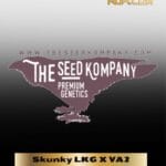 Skunky LKG X VA2 (Regular) - The Seed Kompany