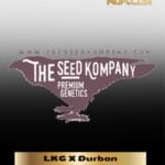 LKG X Durban (Regular) - The Seed Kompany