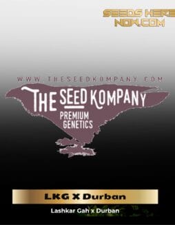 LKG X Durban (Regular) (space) The Seed Kompany