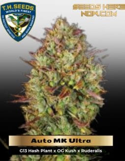 Auto MK Ultra (Autoflower) (space) T.H. Seeds