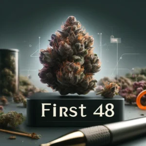 First 48 (regular) - swamp boys seeds