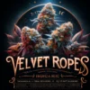 Velvet Ropes (regular) - Second Generation Genetics