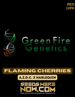 Green Fire Genetics - Flaming Cherries {REG} [12pk]Green Fire Flaming Cherries