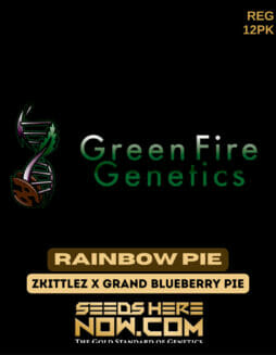 Green Fire Genetics - Rainbow Pie {REG} [12pk]Green Fire Rainbow Pie