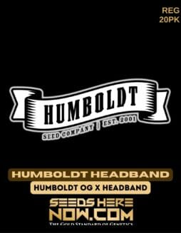 Humboldt Seed Company - Humboldt Headband {REG} [20pk]Humboldt Humboldt Headband