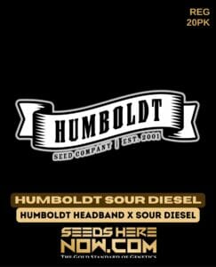 Humboldt Sour Diesel (Regular) - Humboldt Seed Company