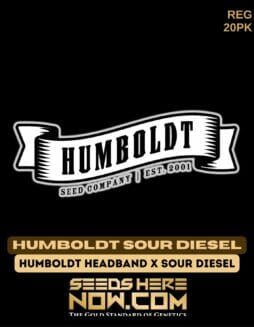 Humboldt Seed Company - Humboldt Sour Diesel {REG} [20pk]Humboldt Humboldt Sour Diesel