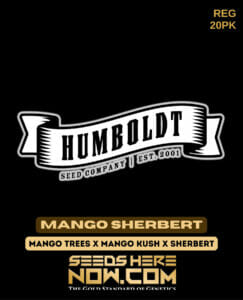Mango Sherbert (Regular) - Humboldt Seed Company