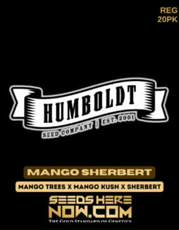 Humboldt Seed Company - Mango Sherbert {REG} [20pk]Humboldt Mango Sherbert