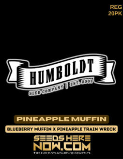 Humboldt Seed Company - Pineapple Muffin {REG} [20pk]Humboldt Pineapple Muffin