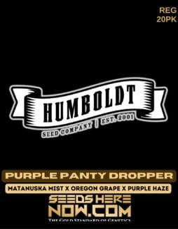 Humboldt Seed Company - Purple Panty Dropper {REG} [20pk]Humboldt Purple Panty Dropper