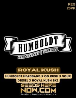 Humboldt Seed Company - Royal Kush {REG} [20pk] RETIREDHumboldt Royal Kush
