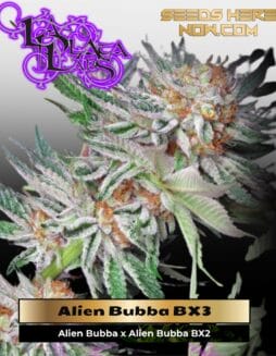 Alien Bubba BX3 (Regular) (space) La Plata Labs