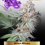 Alien Blues (Regular) - La Plata Labs