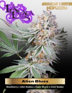 Alien Blues (Regular) (space) La Plata Labs