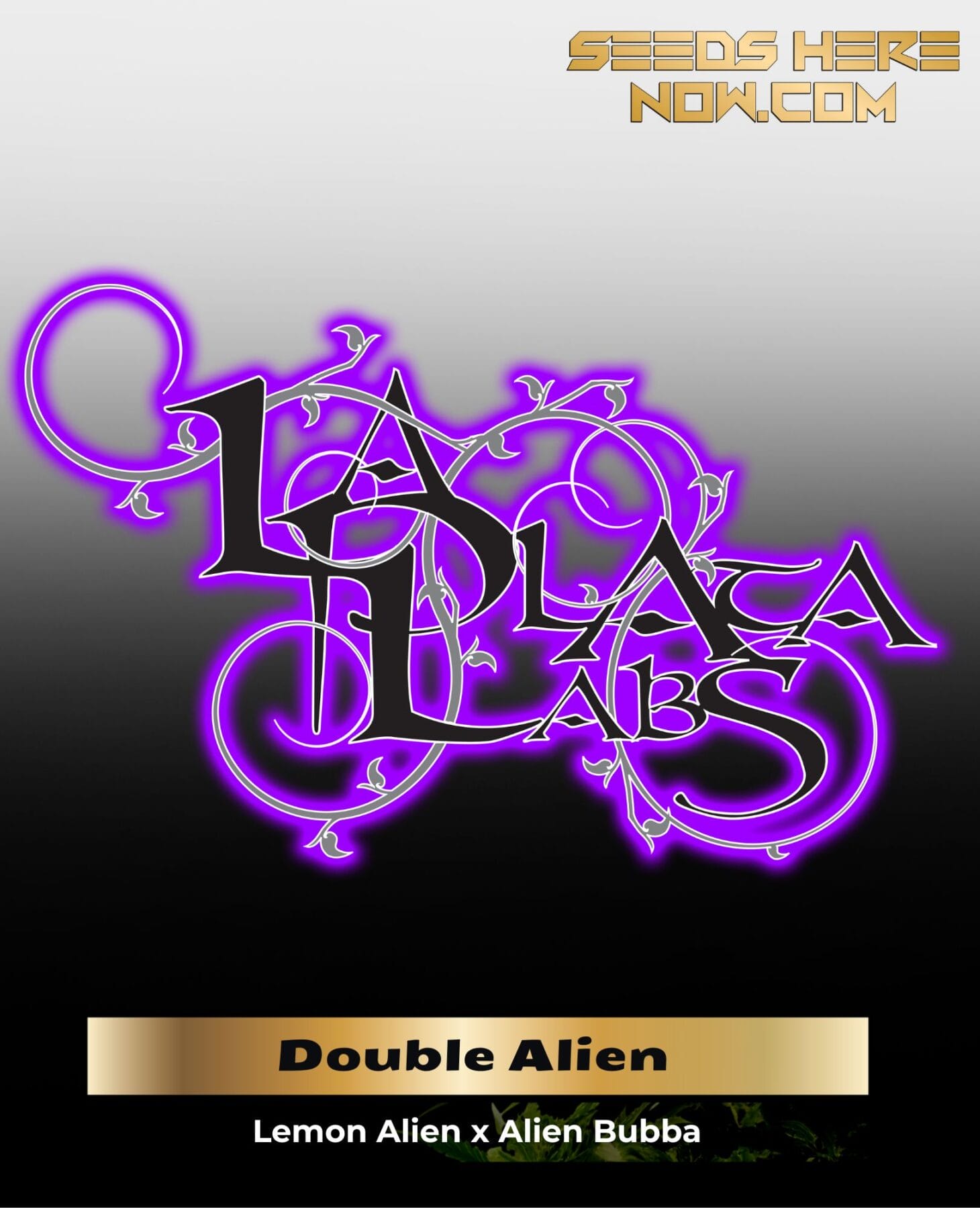 Double Alien (Regular) - La Plata Labs