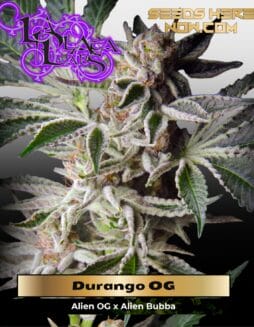 Durango OG F6 (Regular) (space) La Plata Labs