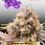 Durango Blues (Regular) - La Plata Labs