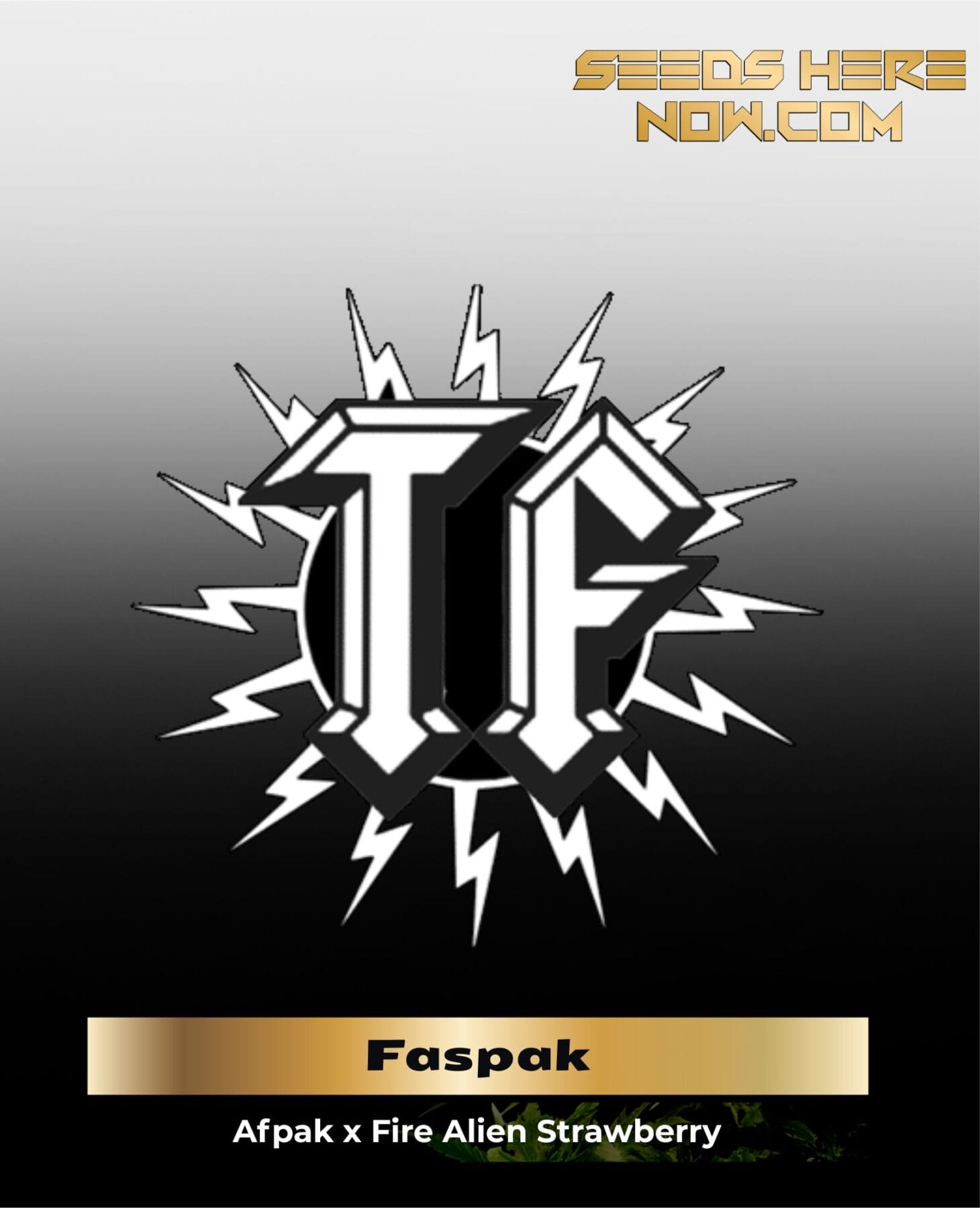Faspak (Regular) - Thunderfudge Genetics