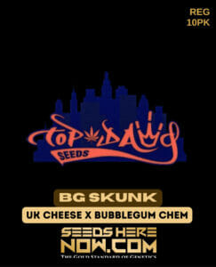 Bg skunk (regular) - top dawg seeds
