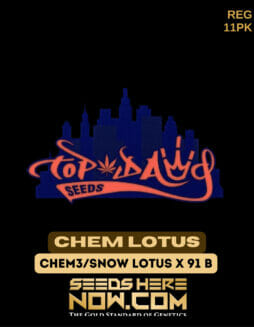Top Dawg Seeds - Chem Lotus {REG} [11pk]Top Dawg Chem Lotus