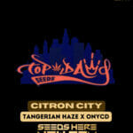 Citron City (Regular) - Top Dawg Seeds