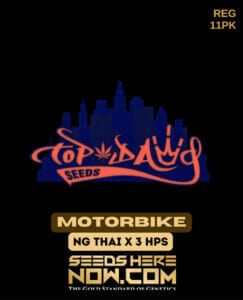 Motorbike (regular) - Top Dawg Seeds