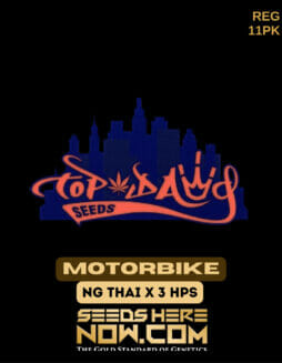 Top Dawg Seeds - Motorbike {REG} [11pk]Top Dawg Motorbike