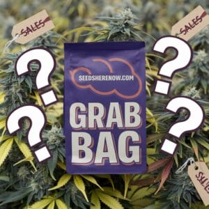 - Deluxe Grab Bag