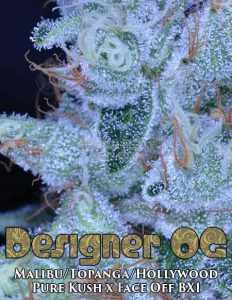 Archive seed bank designer og