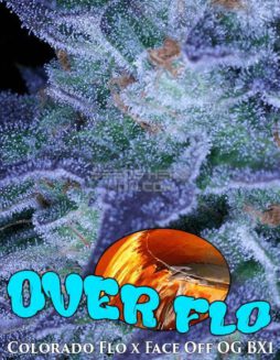 Archive Seed Bank - Over Flo {REG} [12pk]over flo strain marijuana pot seeds
