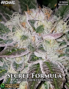 Secret Formula (Regular) - Archive Seed Bank