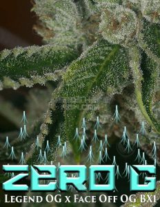 Archive-seed-bank-zero-g_75563397-fc1c-4e44-a225-0246ca5e848d. Jpg