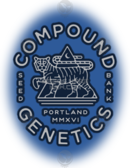 Compound Genetics - Rose Gold Runtz {FEM} [10pk]