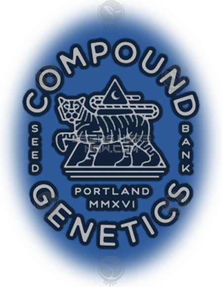 - Compound Genetics - Purple Churro {Fem} [13Pk] Auction Only