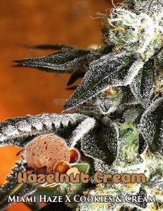 Hazelnut Cream