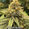 Pizookies (regular) - Exotic Genetix