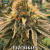 Pizookies (regular) - Exotic Genetix