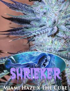 exotic-genetix-shrieker_0bd3a65f-bcc8-4b88-a339-81d1e71d1b91.jpg