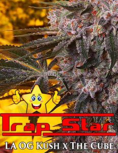 Exotic-genetix-trap-star_5db7b959-4edc-40ed-9459-912c0943df43. Jpg
