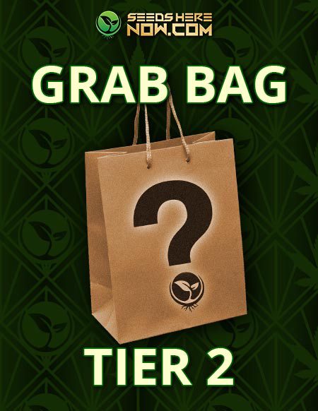 - Tier 2 Grab Bag