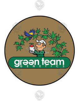 Green Team Genetics - RBGH RETIRED {REG} [10pk]Autoflowering_feminized_seeds