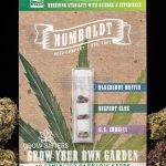 GYOG Sisters (Feminized) - Humboldt Seed Company