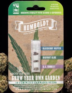 GYOG Sisters (Feminized) - Humboldt Seed Company