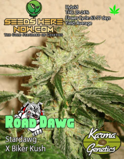 Karma Genetics - Road DawgKarma-genetics-road_dawg